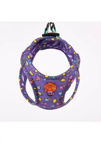 Pawstar Air-Mesh Ice Cream ile Wow Köpek Göğüs Tasması Karşılaştırması: Özellikler Uygunluk