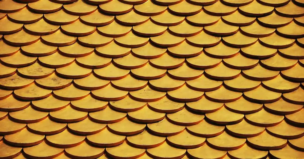 Persil Sıvı Deterjan ve Migros: Ürün Bilgisi ve Arama Sonuçlarının Değerlendirilmesi