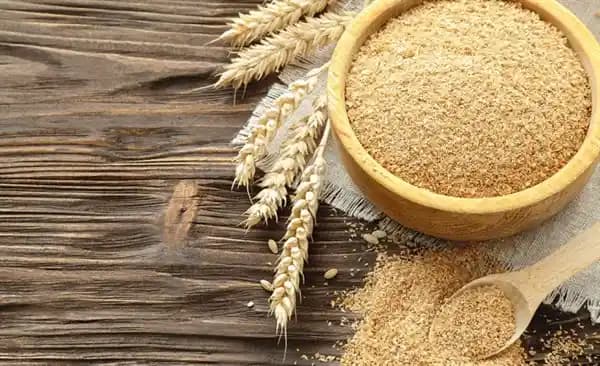 Ruşeymin Besin Değeri ve Sağlık Üzerindeki Faydaları: Protein, Vitamin ve Mineral Kaynağı