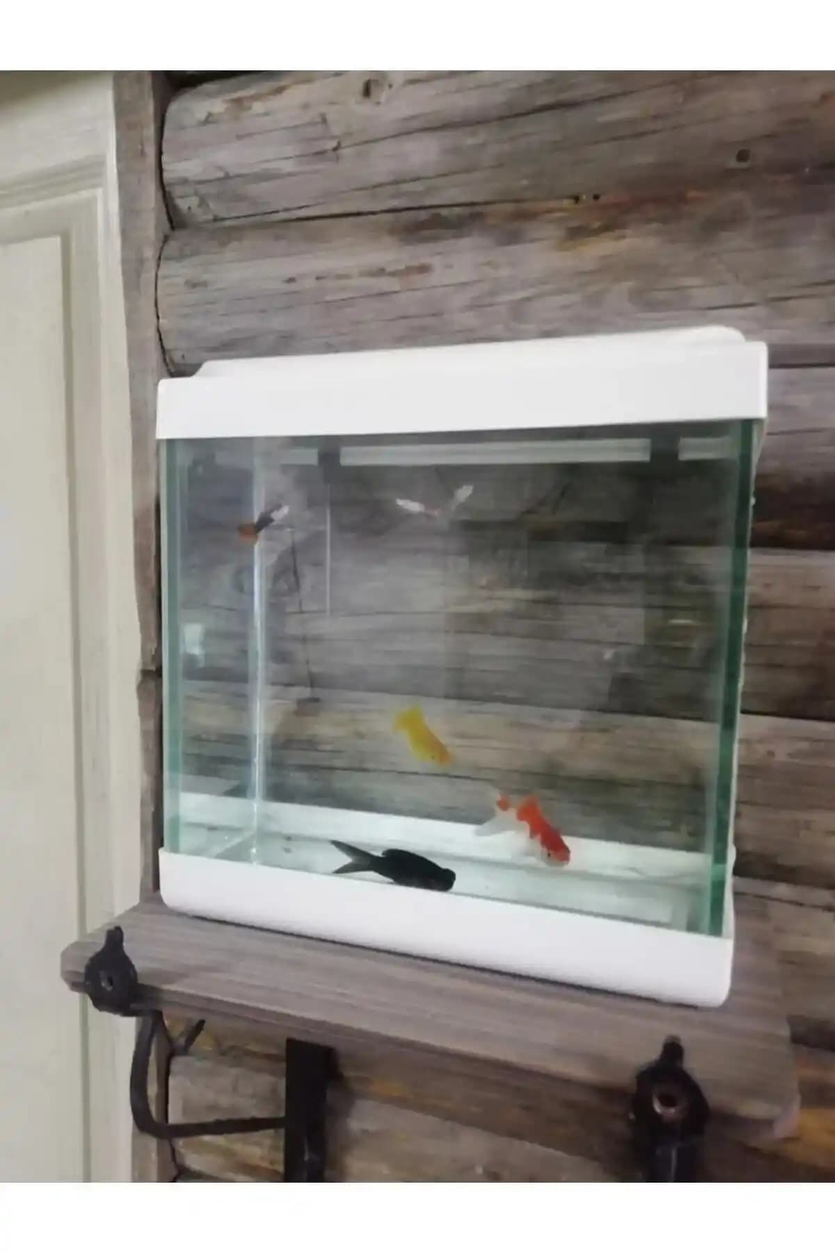 Sakka Ahşap Mini Akvaryum 4 Litre: Kompakt Tasarımda Küçük Balıklar İçin Uygun