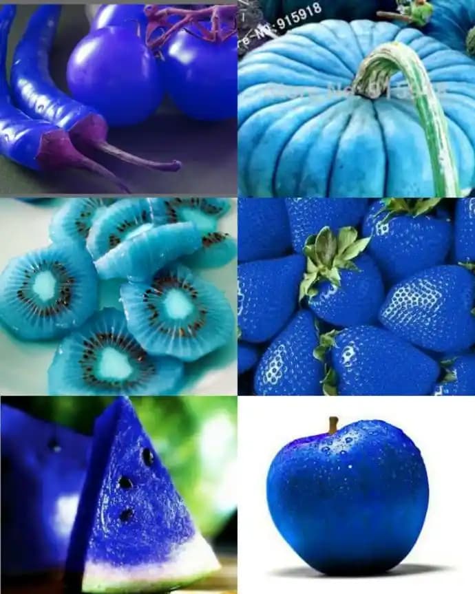 Sandoz'un 2025 Finansal Performansı ve 2026 Büyüme Beklentileri Üzerine Analiz