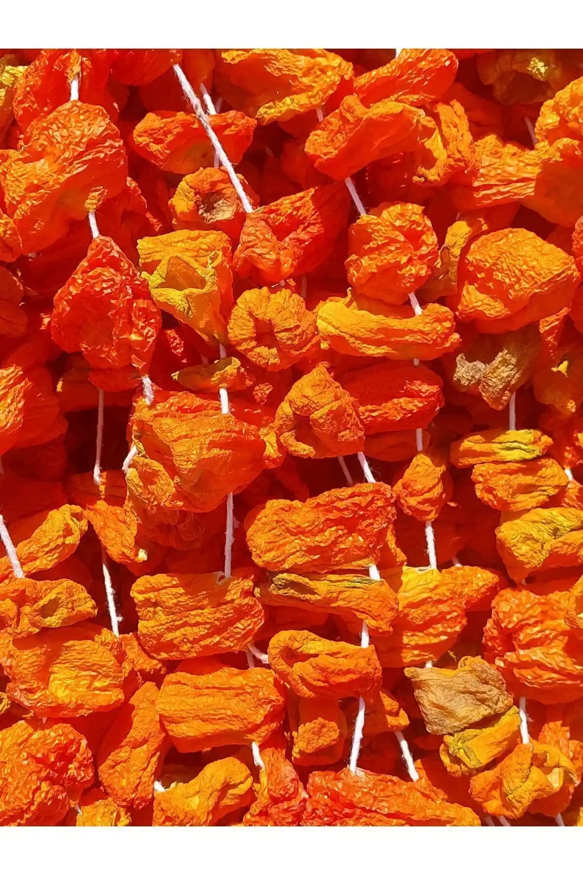 Sarıcaovadan Acı Dolma Biber Kurusu – Ege'de güneşte doğal kurutulmuş, 44–45 adet