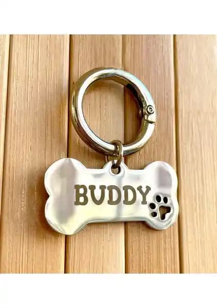 Şık ve Dayanıklı Çelik İsimlik: Loren Gift Kişiye Özel Güvenli İletişim Evcil Dostunuz