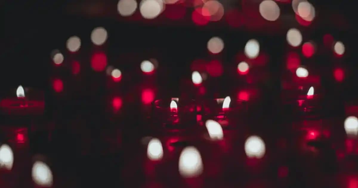 Siyah Zeytin Markası Seçiminde Kalite, Tat ve Ambalajın Önemi