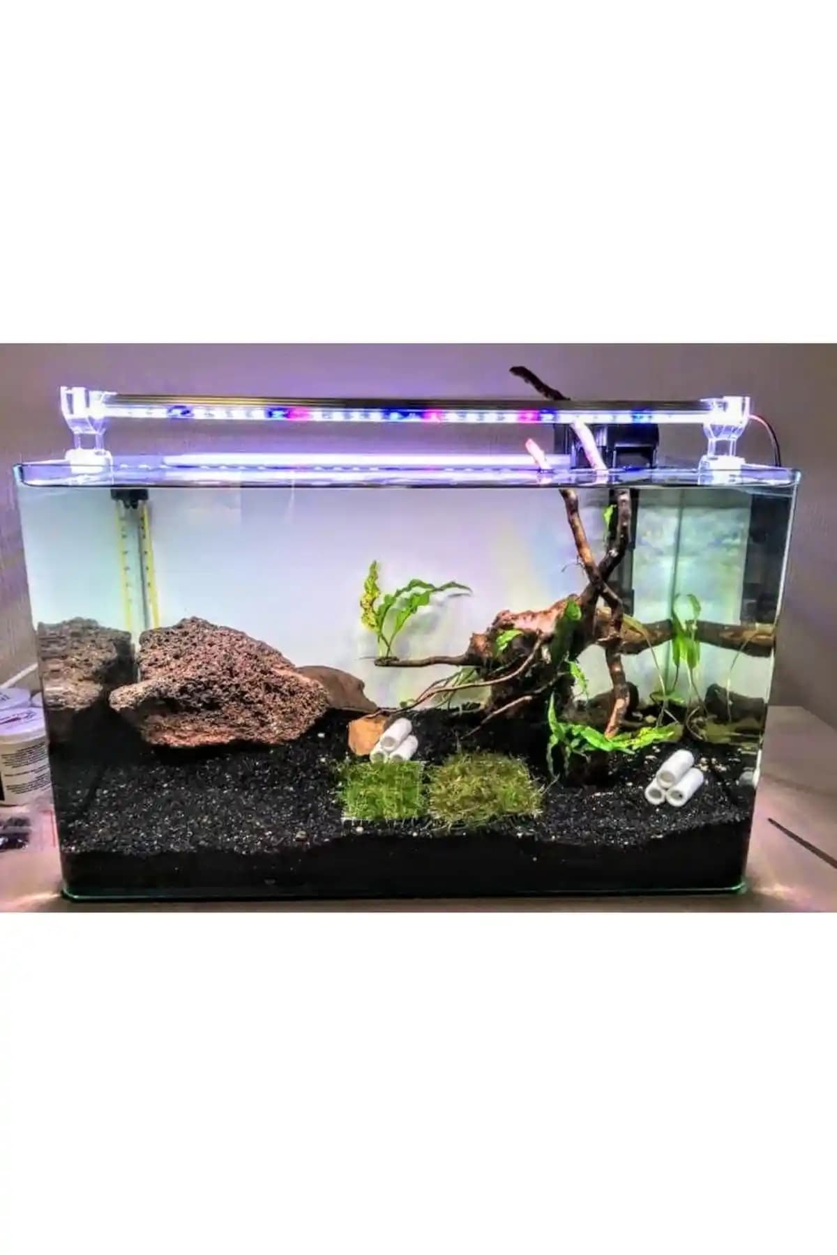 Spectra 65 cm Bitkili Akvaryum Aydınlatması: Enerji Tasarruflu LED Spektrumu ve Montaj