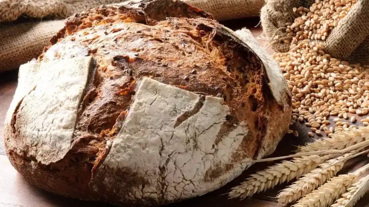 Standart Ekmek Gramajı: Bilinenler, Veri Eksikliği ve Değişkenlik Durumu