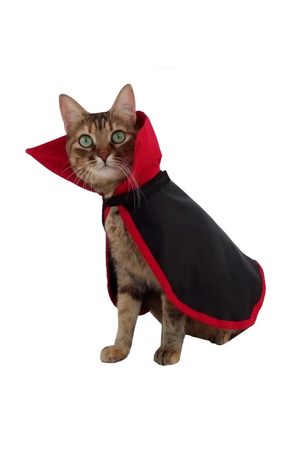 Stilie Halloween Drakula Kedisi Kostümü: Kolay Giydirme ve Ayarlanabilir Bel ile Konfor