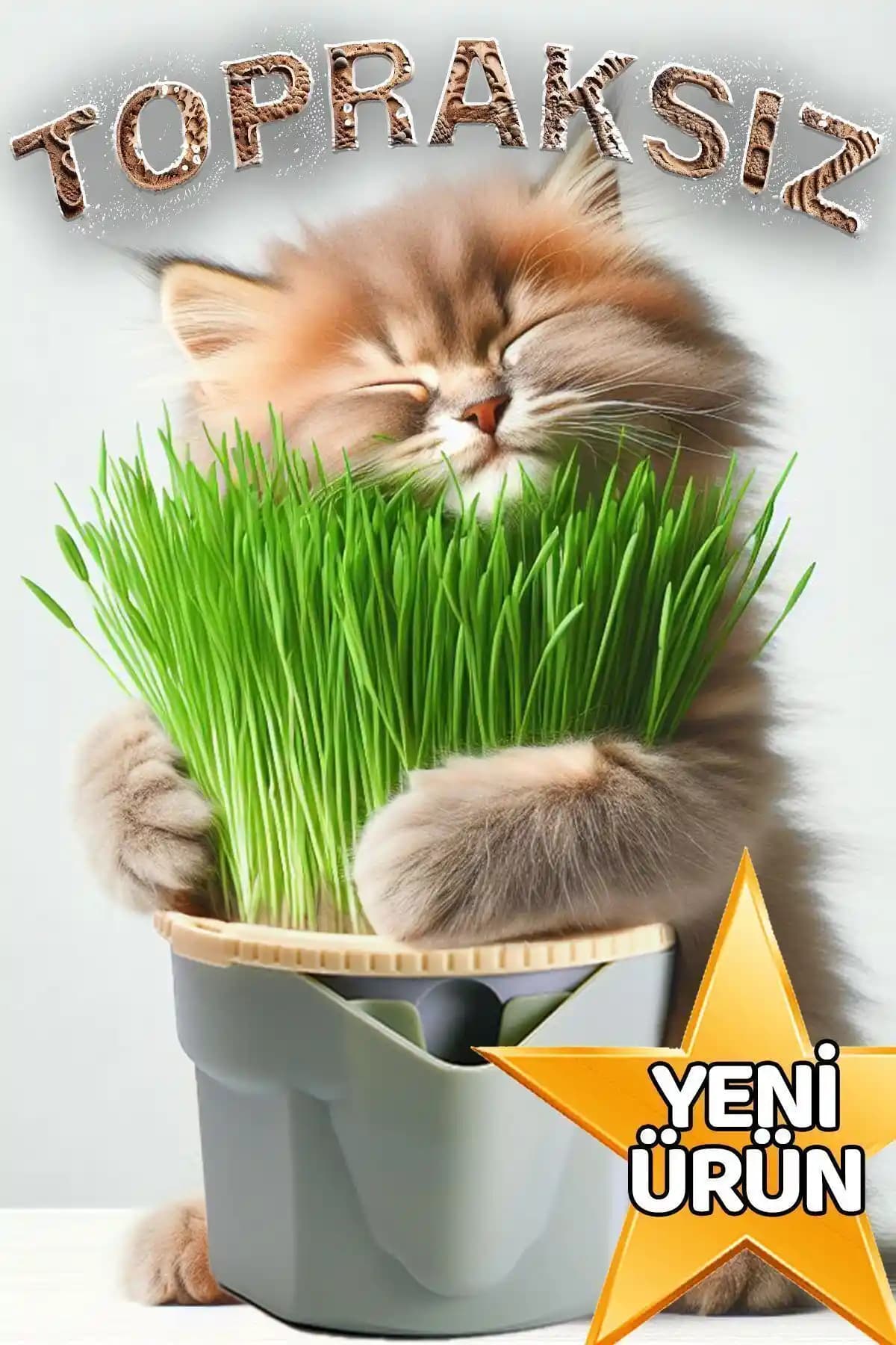 Topraksız Hidroponik Saksı ile Kedi Otu Yetiştirme Kiti: Doğal İç Mekan Çim Güvencesi