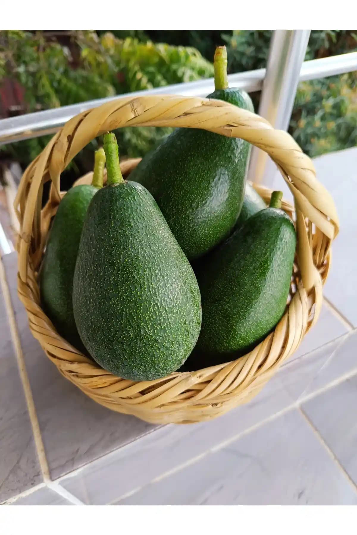 Türkiye'den Organik Büyük Boy Avokado: Sağlıklı Yağlar İçin Güvenilir 1 kg Seti