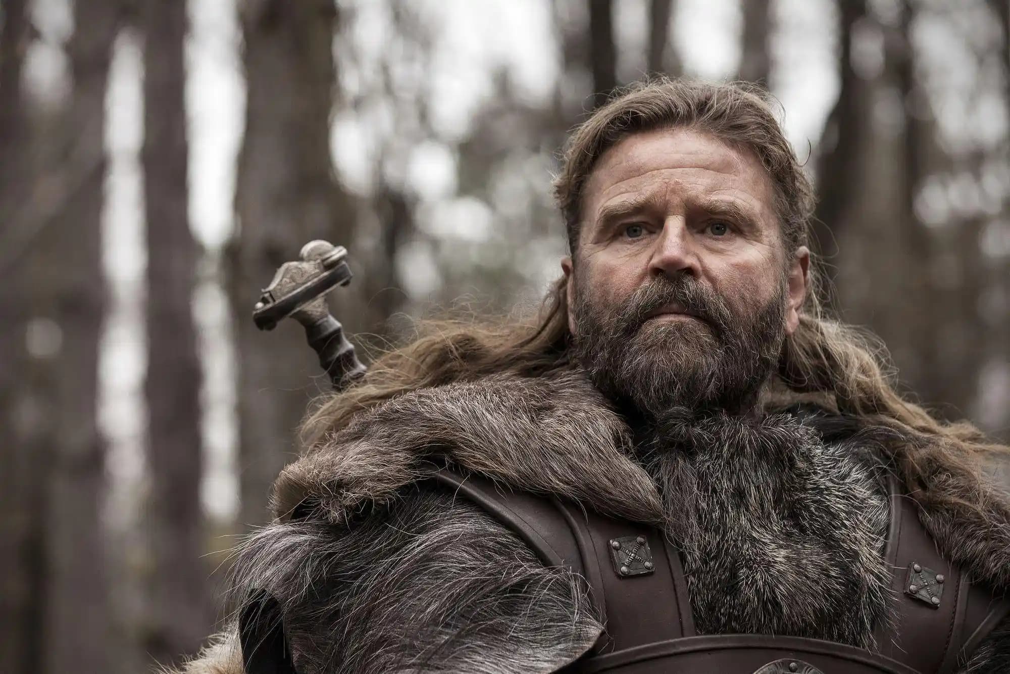 Viking Vernel: Market ve Ev Ürünleri Kategorisinde Bilgi Eksikliği ve Ürün Analizi