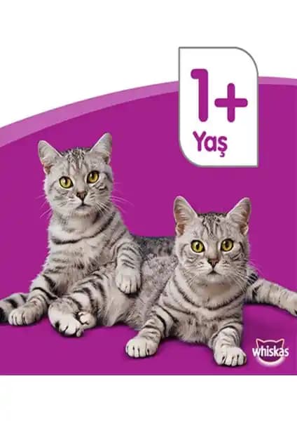 Whiskas Tastymix Kuzulu Tavuklu Havuçlu: Üçlü lezzetli kedi maması paketi analizi