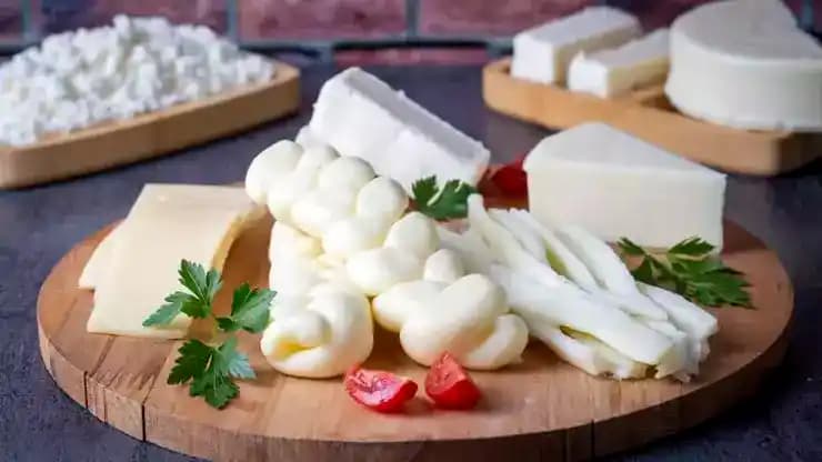 Yuvarlak Peynir Çeşitleri: Şekil Özellikleri ve Mutfaktaki Kullanım Avantajları