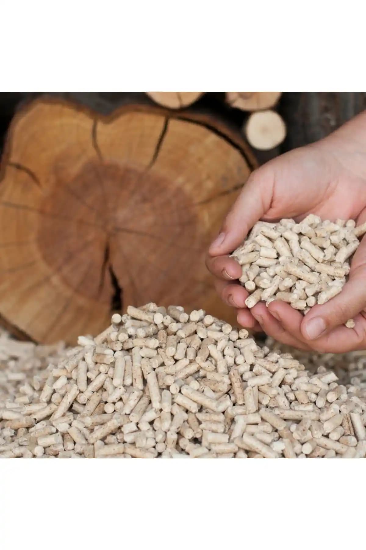 Genel Markalar A1 Kalite %100 Doğal Çam Pelet Kedi Kumu ve Yakıtı Ürün Tanıtımı