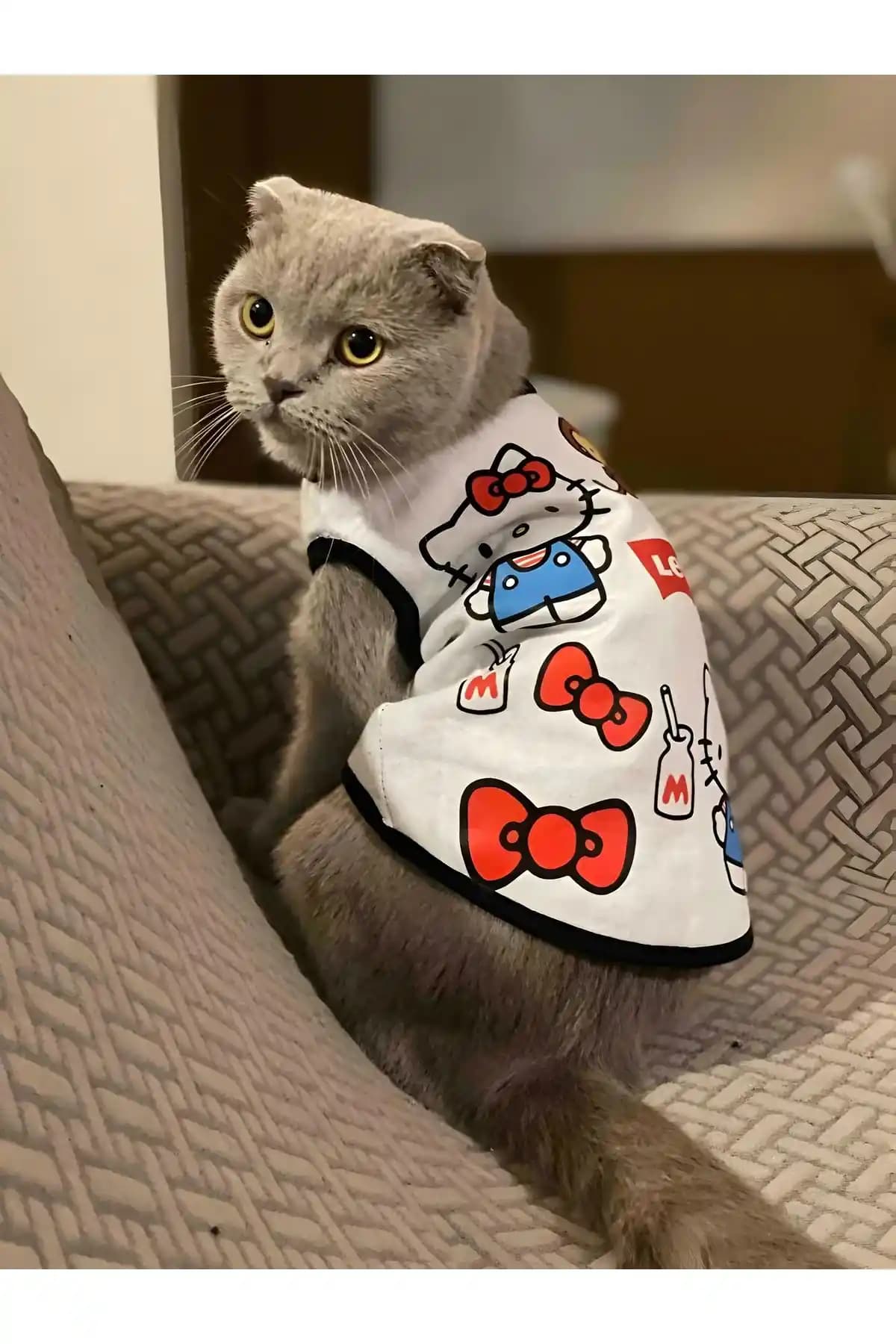 Monopetz Yeni Sezon Köpek ve Kedi Atletleri: Konfor ve Şıklık Sunan Tasarımlar