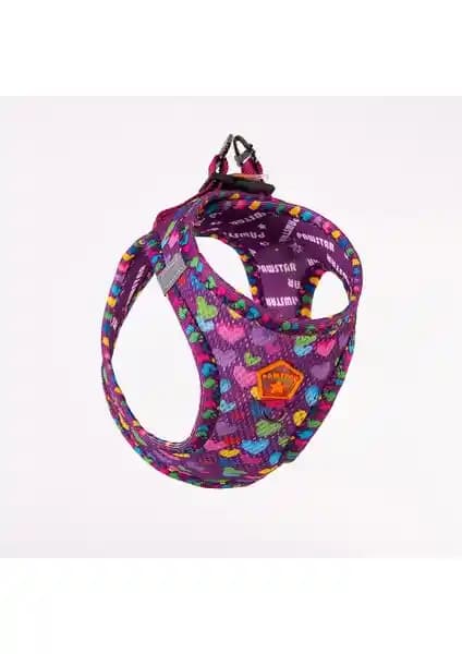 Pawstar Air-Mesh Hearts ve Wow Köpek Göğüs Tasmalarının Detaylı Karşılaştırması