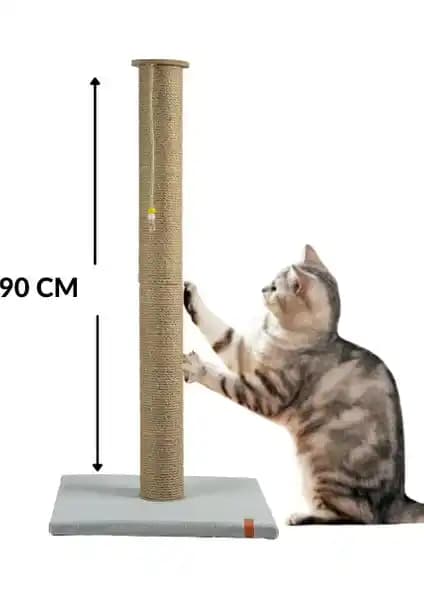 Pugalo ve Rotipet Kedi Tırmalama Ürünleri: Doğal Malzeme ve Fonksiyonel Tasarım Karşılaştırması