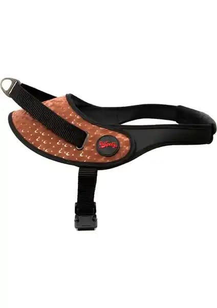 TailPetz Norwegian ve Space H-tipi Göğüs Tasmalarının Özellik ve Kullanım Karşılaştırması