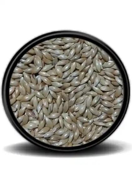 Vivid Sade Kanarya Yemi (Aspur) 1kg ile Doğal ve Sağlıklı Kanarya Beslenmesi