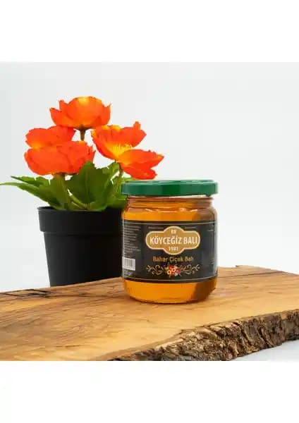 Köyceğiz Balı Türleri Karşılaştırması: Bahar Çiçek ve Özel Seçim Çiçek Balı