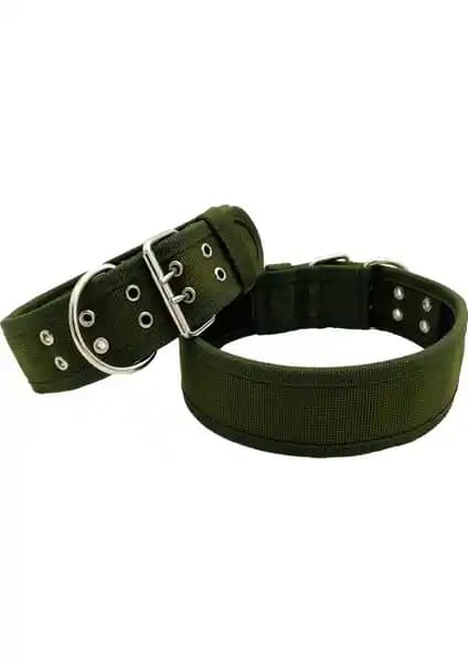 Büyük Irk Köpekler İçin Yuşak Dokulu Kolon Tasma ve Boyun Tasması Karşılaştırması