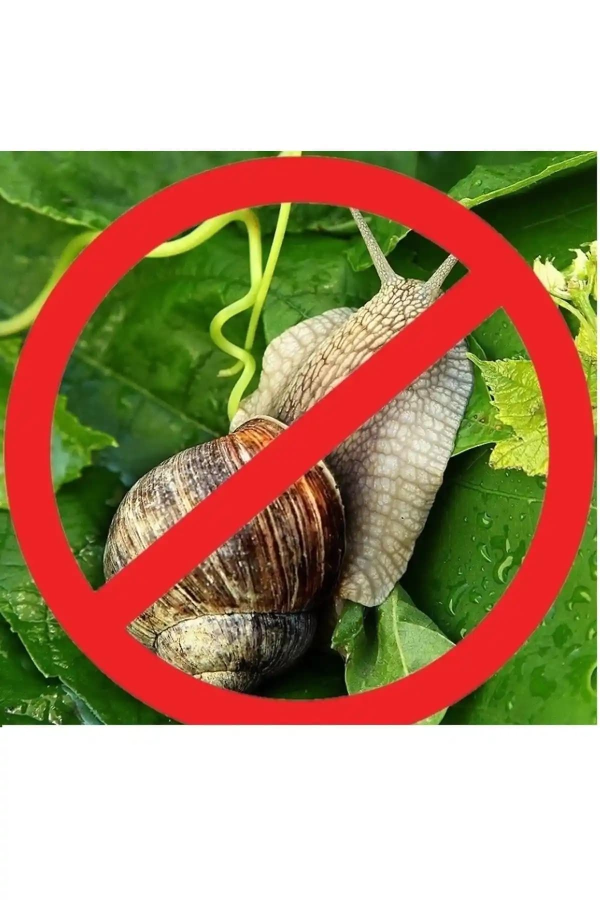 ÇAĞ TARIM Salyangoz ve Sümüklü Böcek İlacı Pelet Yem 1 Kg ile Zararlılara Etkili ve Güvenilir Mücadele