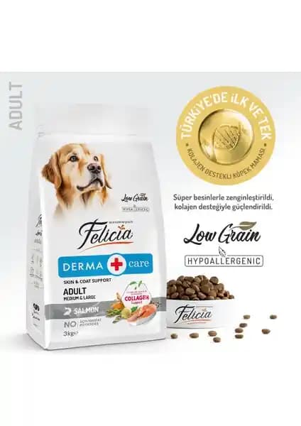 Felicia 3 Kg Yetişkin Köpek Maması: Sağlıklı ve Hassas Bakım İçin Bilimsel Destekli Beslenme Çözümü