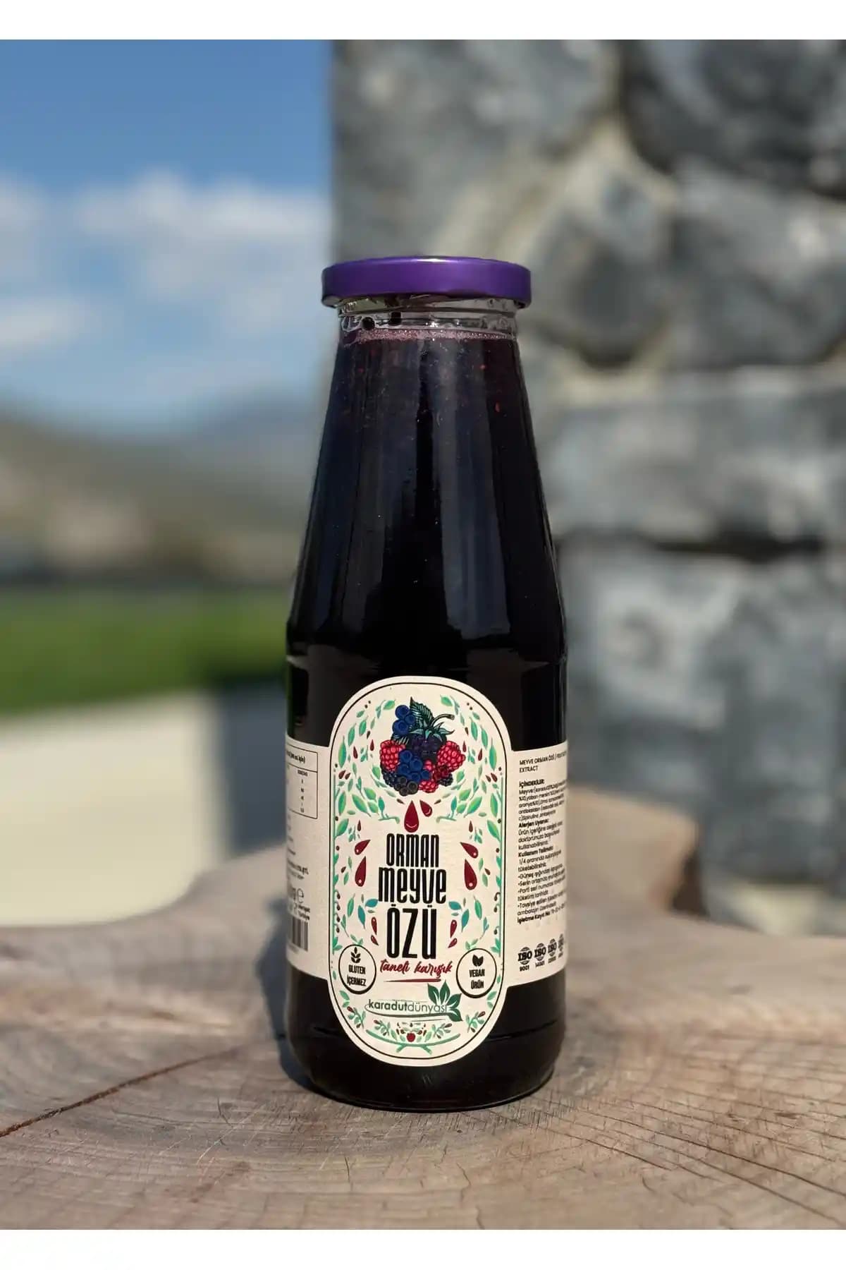 Karadut Dünyası Taneli Orman Meyve Özü: Doğal ve Besleyici Meyve Suyu Alternatifi