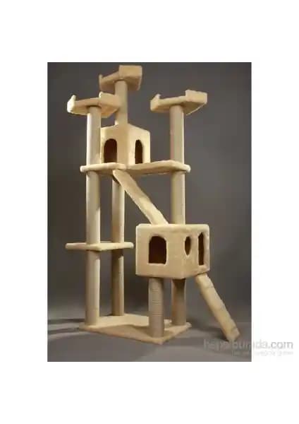 Kediler İçin Tırmalama ve Oyun Ürünleri Karşılaştırması: Misspet ve Pugalo Ürünleri