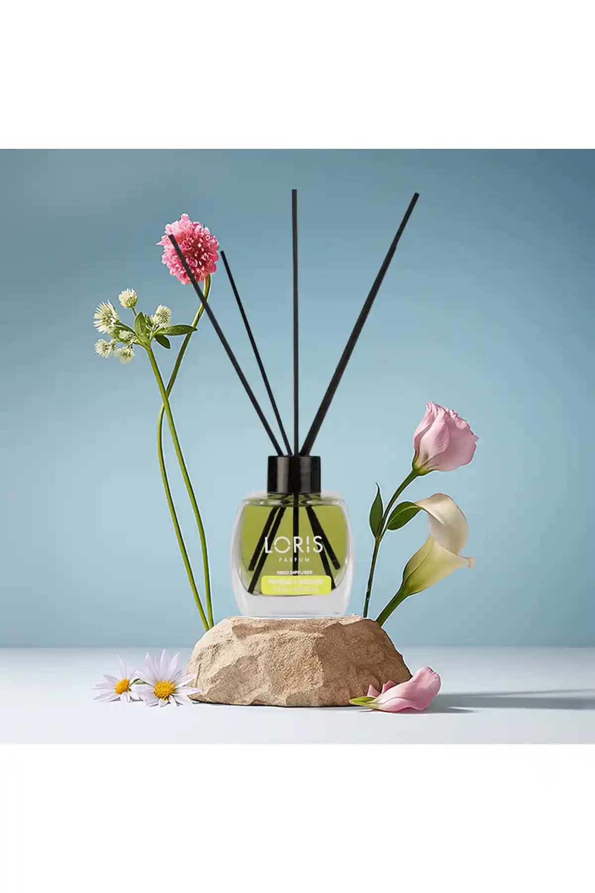 Loris Paçuli Bergamot Oda Kokusu: Ferah ve Şık Atmosfer Yaratmak İçin Uygun Seçenek