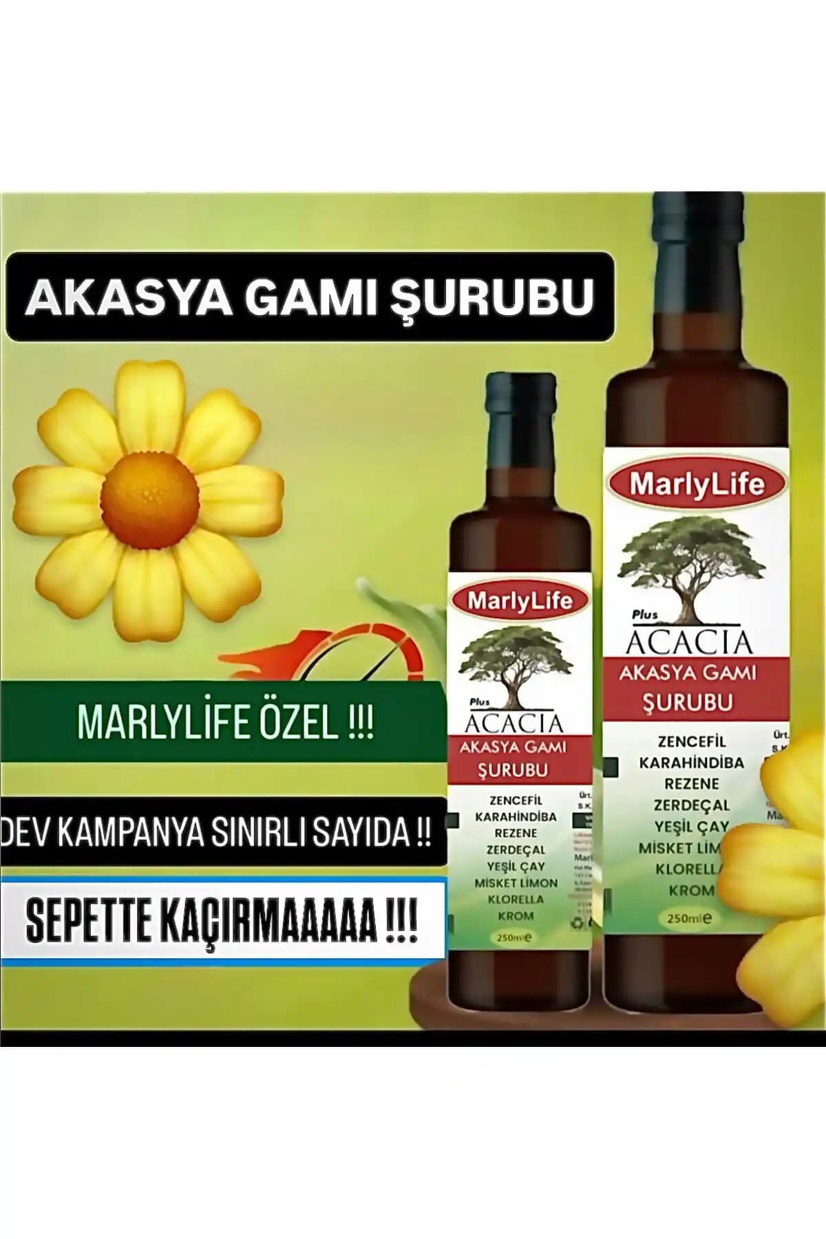 MARLYLIFE Acacia Akasya Gamı Şurubu: Doğal İçeriklerle Sindirim ve Bağışıklık Desteği