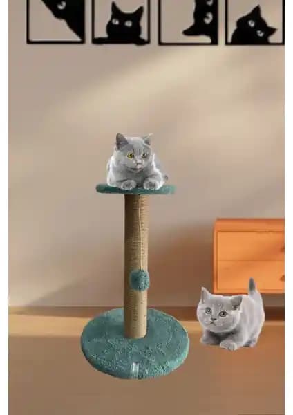 Nursoft ve Pugalo Kedi Tırmalama Tahtaları Karşılaştırması ve Detaylı İnceleme