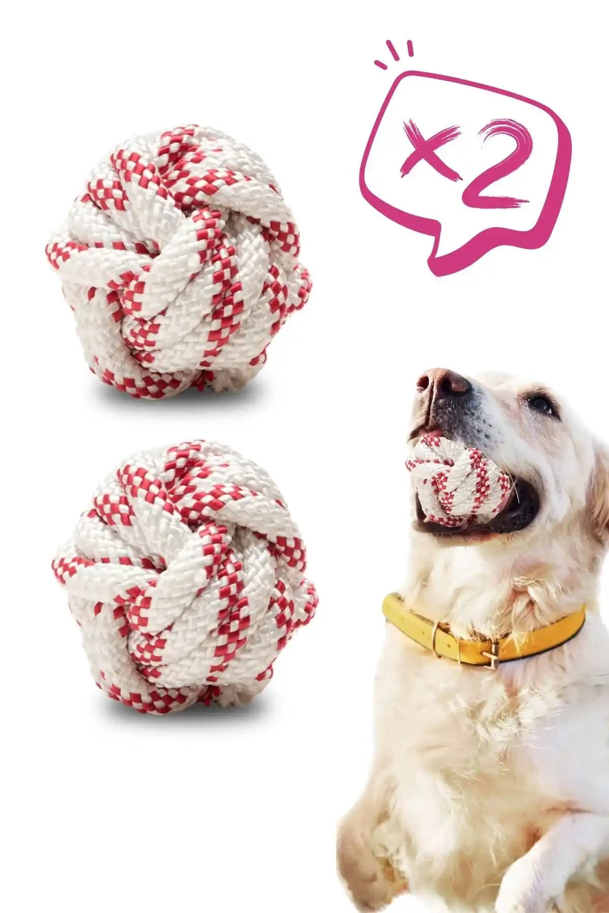 Proud Wave Köpek Oyuncağı: Dayanıklı ve Güvenilir Köpek Eğlence Ürünü