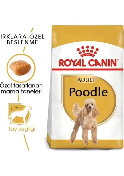 Royal Canin Poodle Yetişkin Köpek Maması: Özel Irk ve Sağlık Destekli Formülasyon