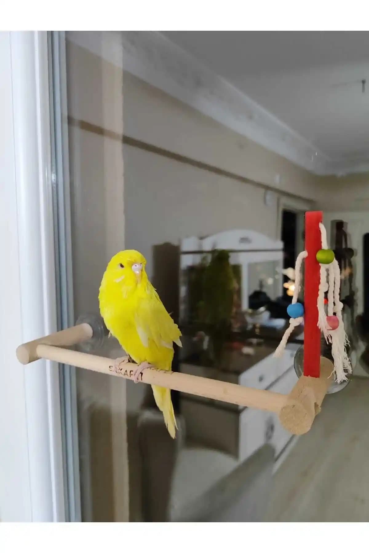 SAKAPET Paraket Vantuzlu Cam Tüneği Küçük Kuşlar İçin Güvenli ve Eğlenceli Bir Oyun Alanı