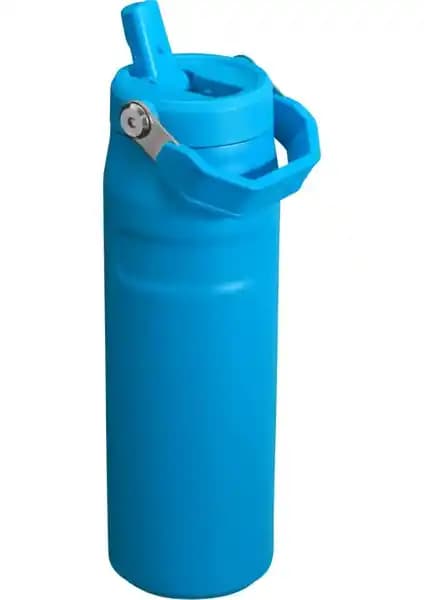 Stanley Termos Karşılaştırması: 0.7 L ve 1.06 L modellerinin özellikleri ve kullanıcı yorumları