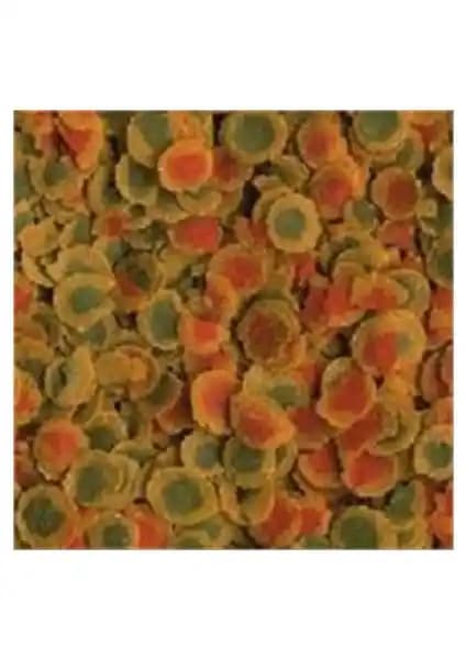 Tetra Pro Energy 250Gr Balık Yemi: Sağlıklı ve Enerjik Balıklar İçin Uygun Beslenme Seçeneği