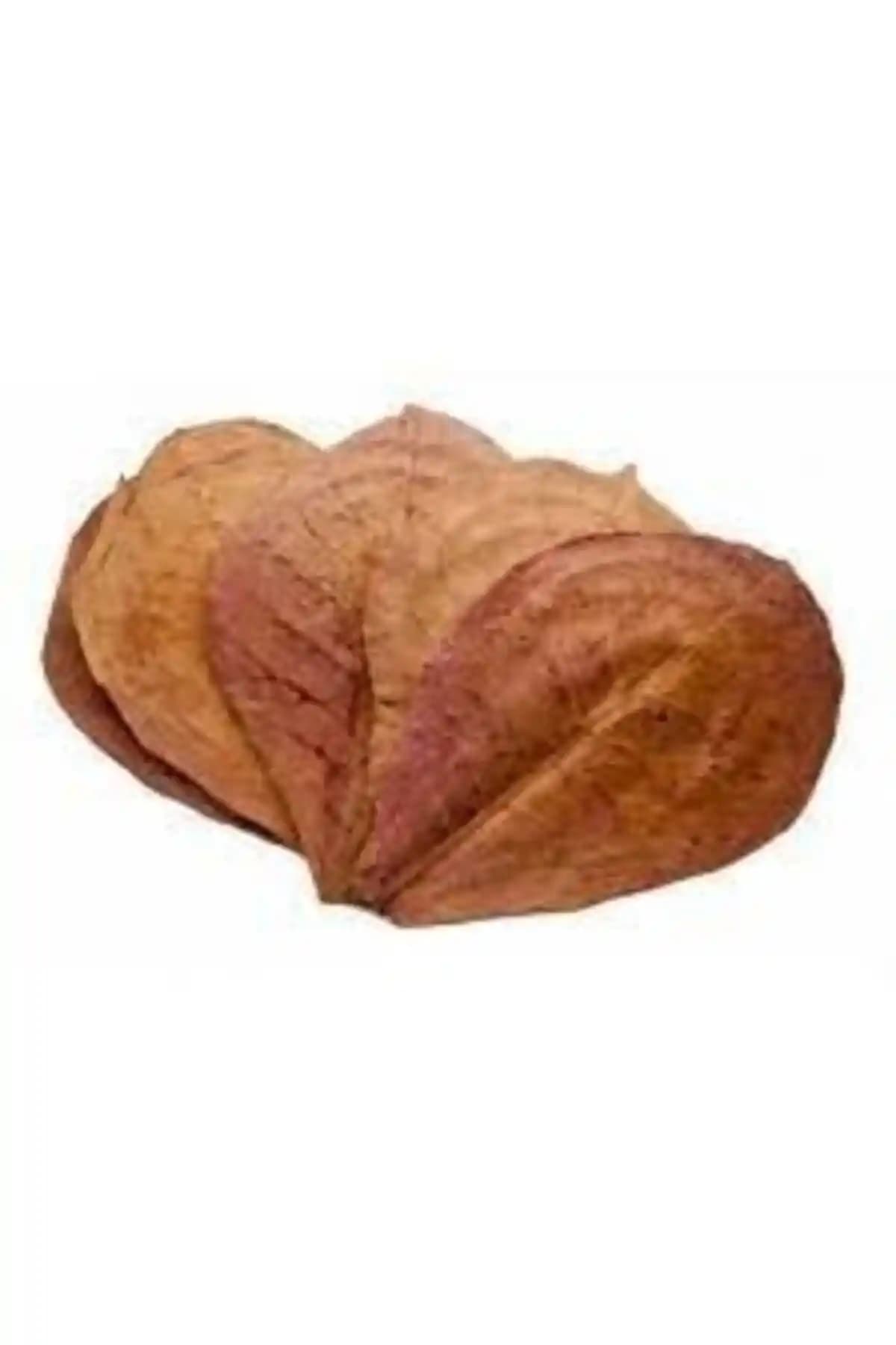 TROPİKAL Catappa Yaprağı Akvaryumlar İçin Doğal ve Etkili Su Düzenleyici Çözüm