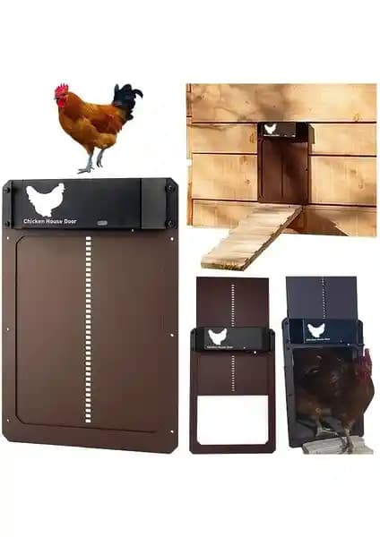 YBLTD Otomatik Tavuk Kümesi Kapısı: Modern Çiftlikler İçin Güvenli ve Kolay Kullanımlı Otomasyon Çözümü