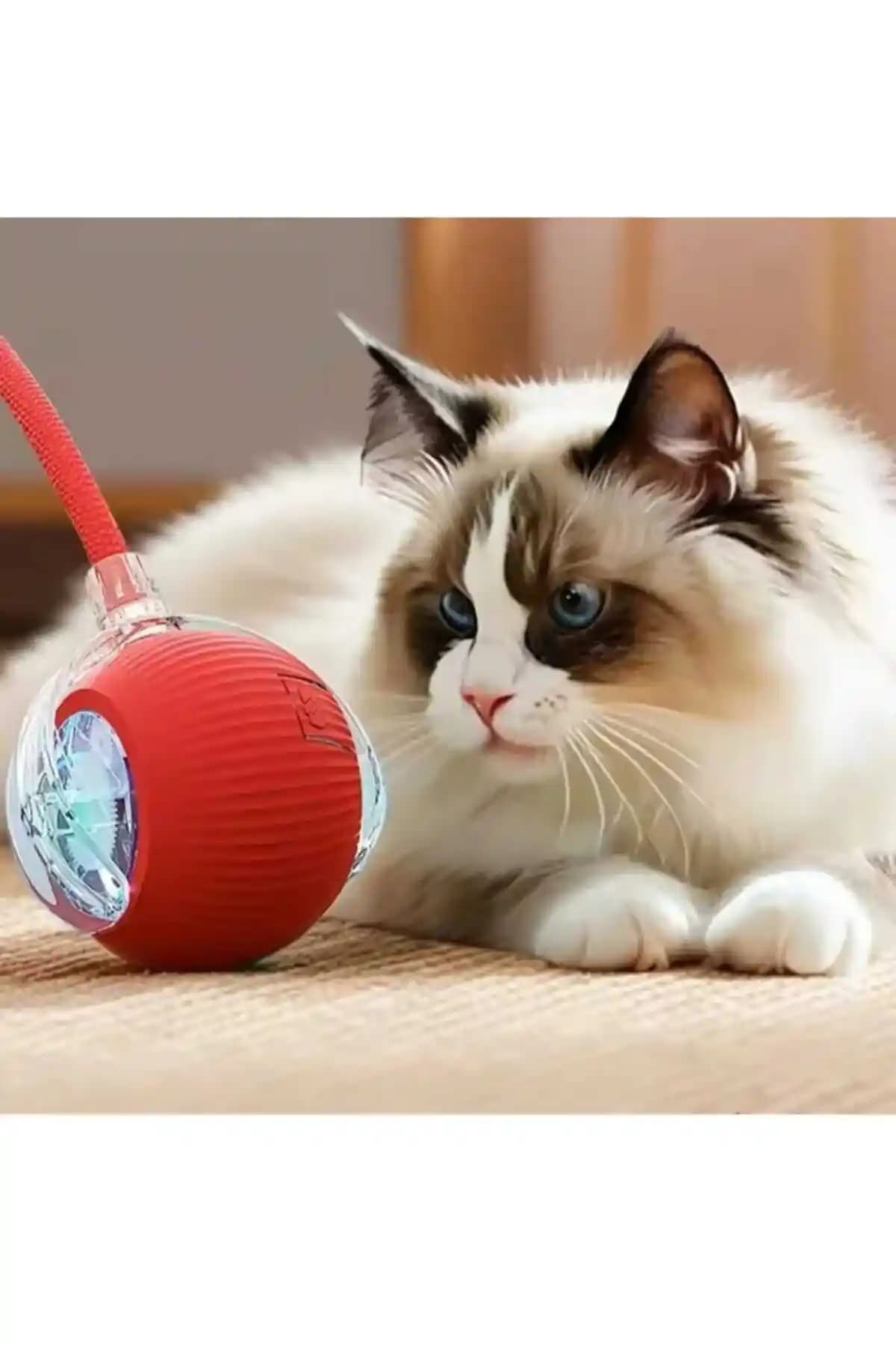 Demirhan Group Akıllı Kedi Topu: Interaktif ve Eğlenceli Evcil Hayvan Oyuncağı
