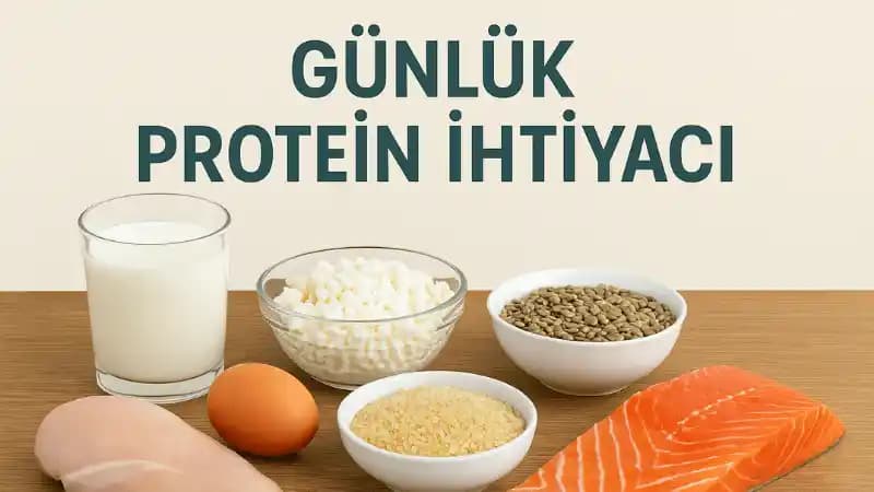 Fasulye ve Pirinç Dışında Uygun Fiyatlı Protein ve Kalori Kaynakları Nelerdir?