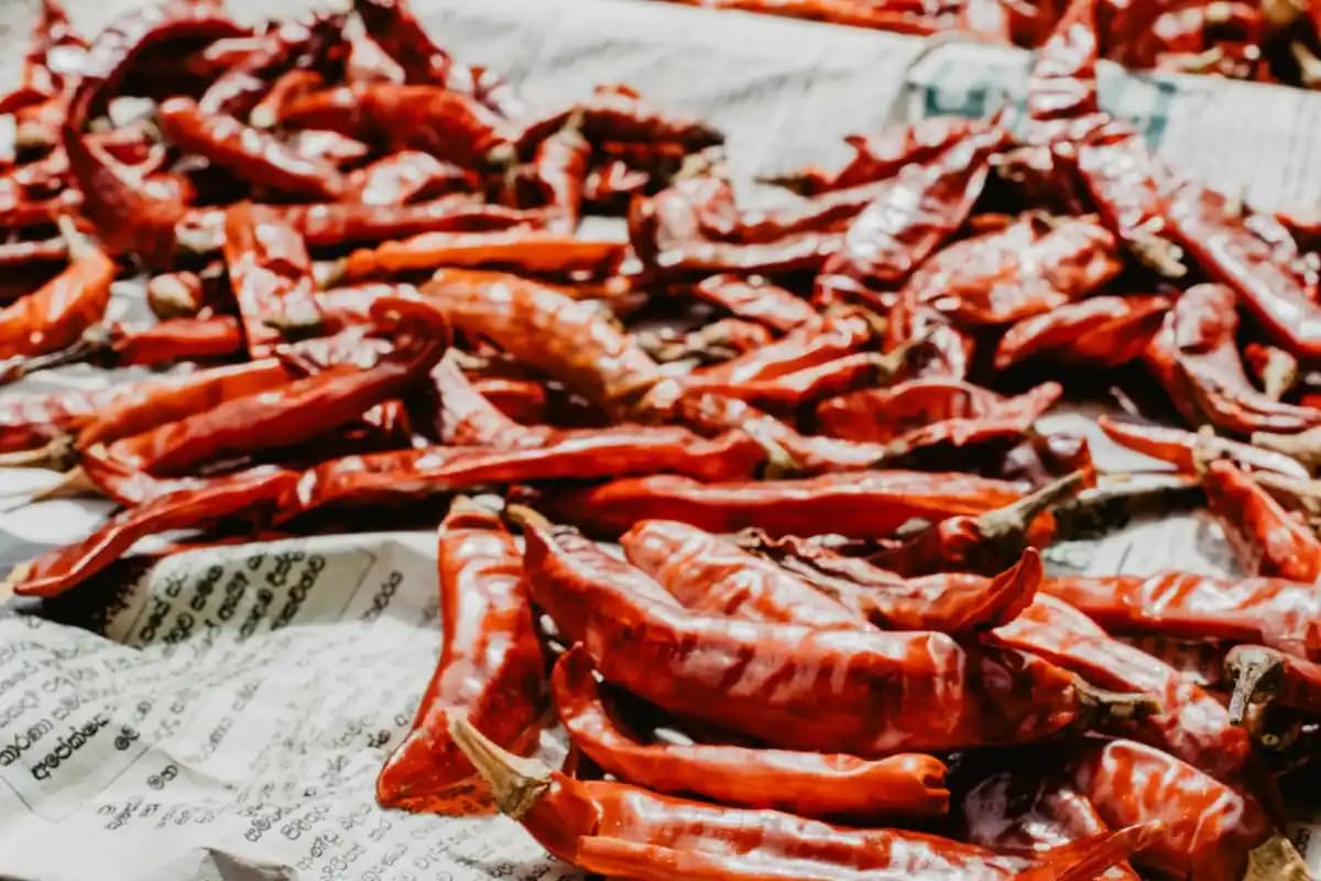 Füme Paprika: Yemeklere Derinlik ve Dumanlı Lezzet Katan Baharat