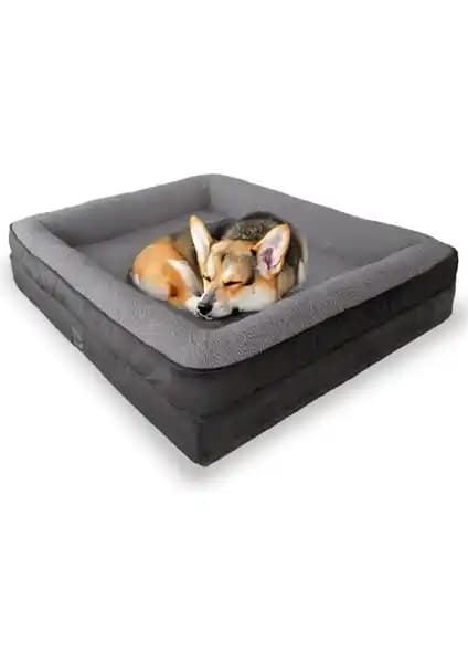 Jungolica Pet Products Felix ve Sezar Yatakları Karşılaştırması ve Özellikleri