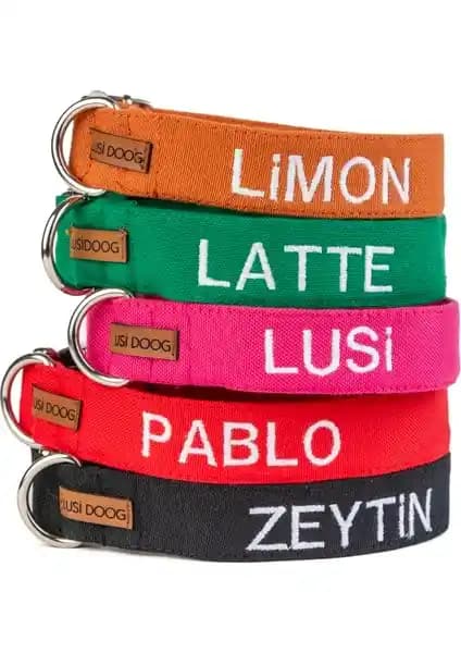 Lusi Doog ve Tasma Market Köpek Boyun Tasması Karşılaştırması ve Kullanıcı Yorumları