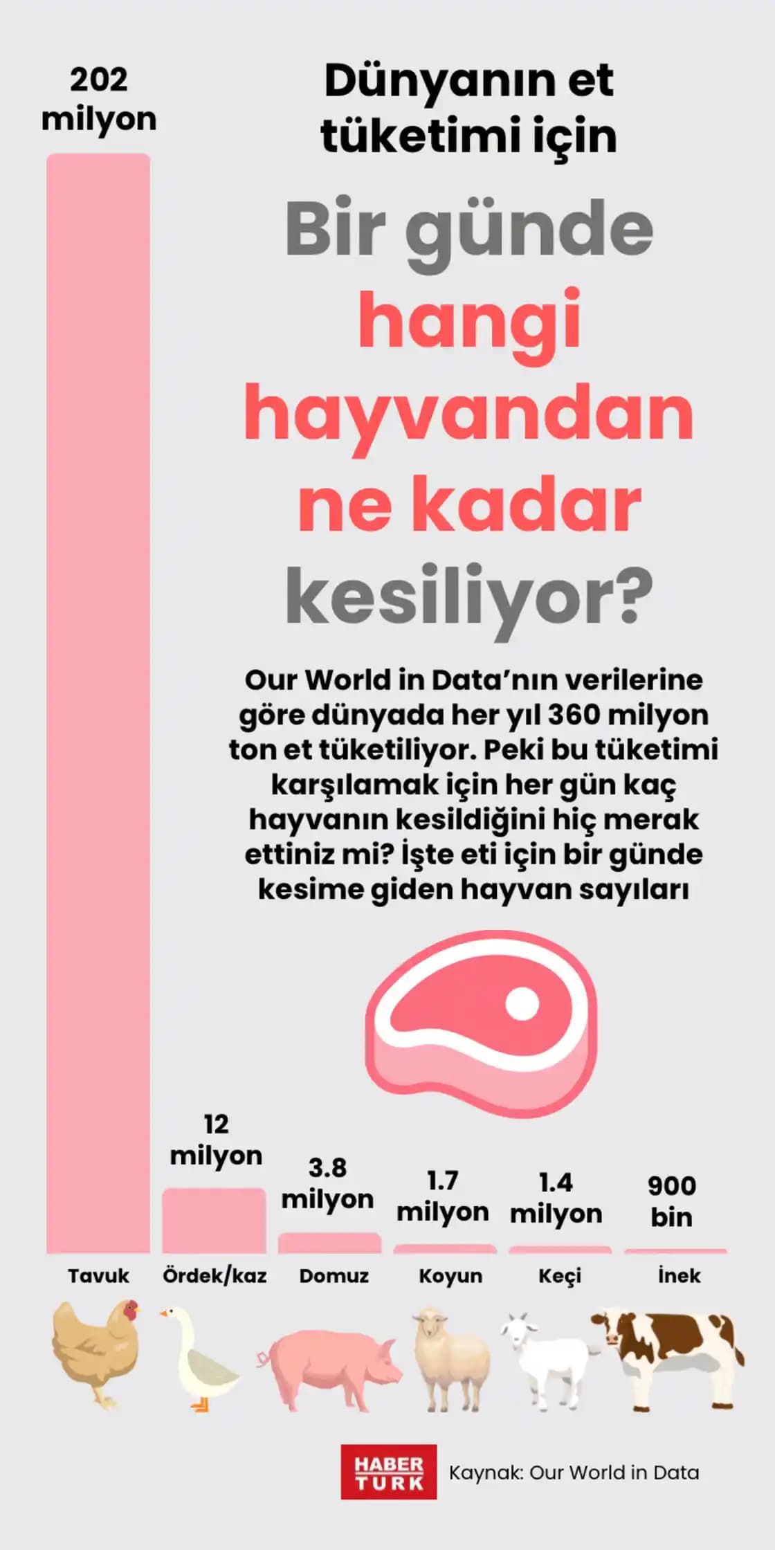 Marketlerde Et Fiyatlandırması ve İndirim Stratejilerinin Piyasa Dinamiklerine Etkisi