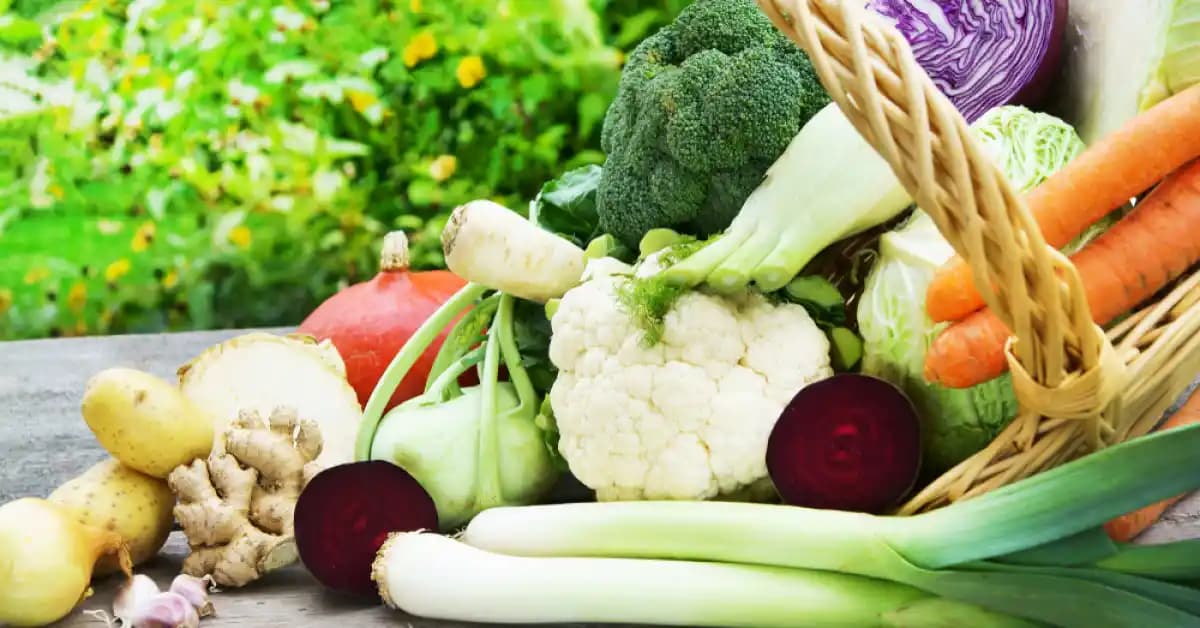 Sebze Dokusu Hassasiyeti Olanlar İçin Sağlıklı ve Lezzetli Yemek Hazırlama Yöntemleri