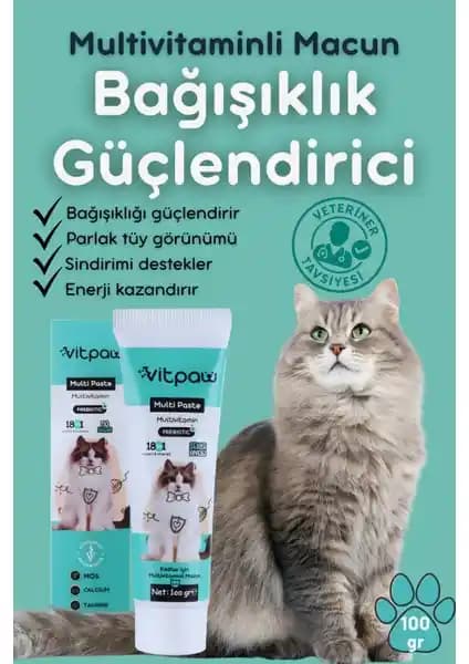Vitpaw Multi Paste ve Sterile Paste Karşılaştırması: Kediler İçin En İyi Tüy ve Sağlık Destek Ürünleri