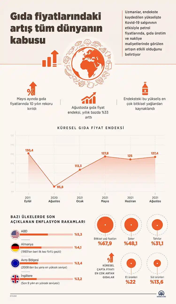 Yemek Pişirme Sürecinde Artan Gıda Fiyatları ve Planlama İhtiyacı Üzerine Analiz
