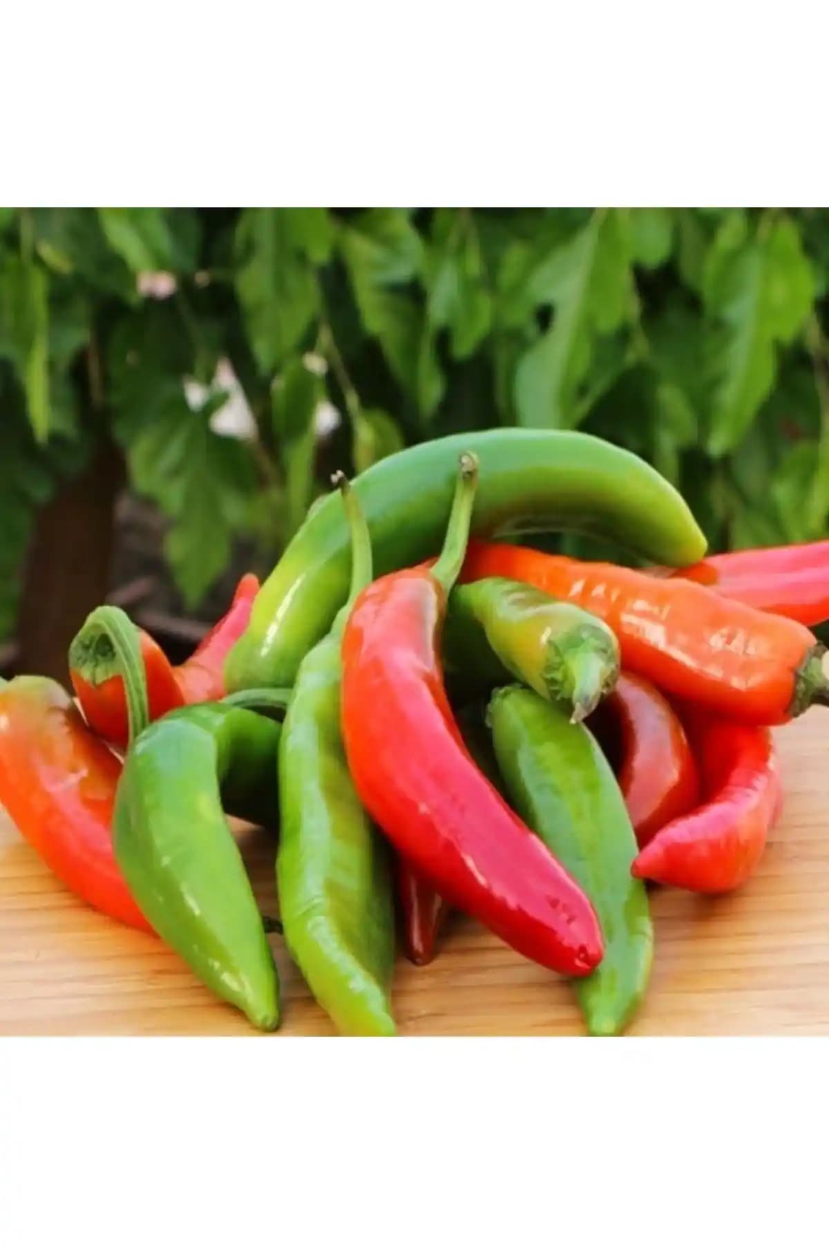 Samandağ Biberi: Hatay'ın Özgün ve Taze Lezzetleriyle Mutfaklara Renk Katar