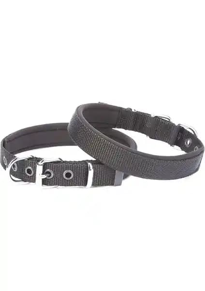 Köpek Boyun Tasması Karşılaştırması: Dayanıklılık, Tasarım ve Konfor Analizi