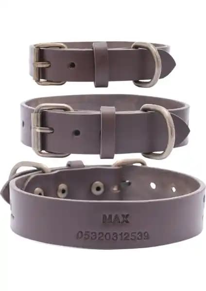 Köpek Tasması Seçenekleri: Kişiye Özel Deri ve Yu<muş>ak Dokulu Modeller